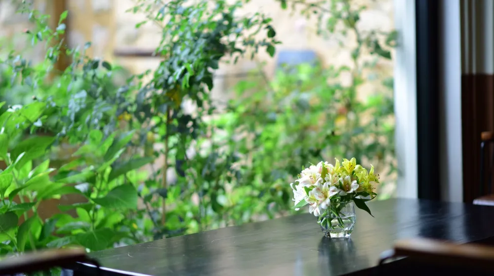 Flores blancas sobre una mesa